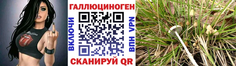 Галлюциногенные грибы Magic Shrooms  Балаково 